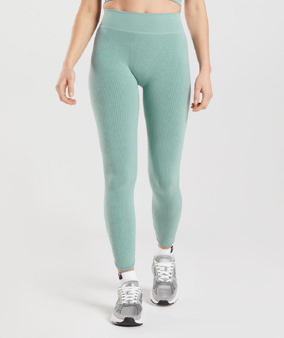 Leggins Gymshark Pause Seamless Mujer Azules | CO 2870QMA